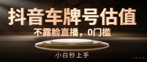 抖音车牌号估值,不露脸直播,0门槛,小白秒上手【揭秘】-知乎者也