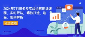 2024年7月拼多多实战运营现场课程,实时玩法,爆款打造,选品、规则解析-知乎者也