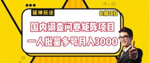 国内调查问卷矩阵项目,一人批量多号月入3000【揭秘】-知乎者也