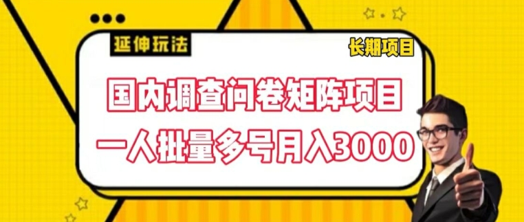 国内调查问卷矩阵项目,一人批量多号月入3000【揭秘】-知乎者也