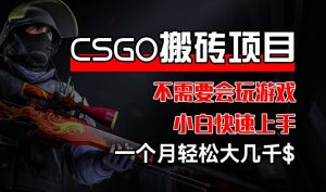 CSGO 装备搬砖项目，操作简单，不需要会玩游戏，小白也能快速上手，一个月轻松大几千【揭秘】-知乎者也