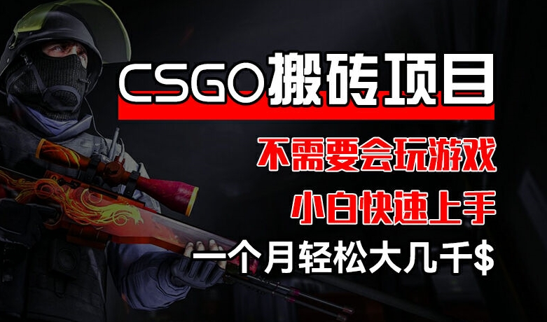 CSGO 装备搬砖项目,操作简单,不需要会玩游戏,小白也能快速上手,一个月轻松大几千【揭秘】-知乎者也