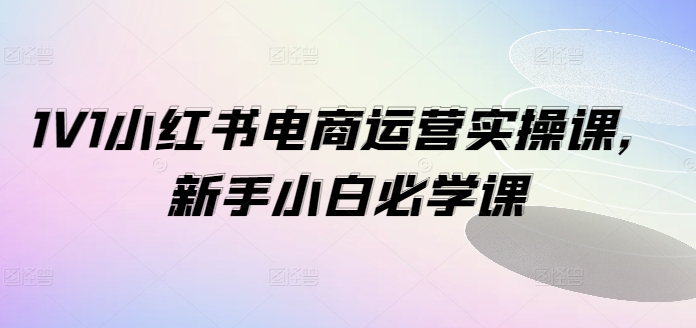 1V1小红书电商运营实操课,新手小白必学课-知乎者也