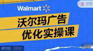 沃尔玛广告优化实操课,广告报告实操讲解,广告如何提高转化和ROAS等-知乎者也