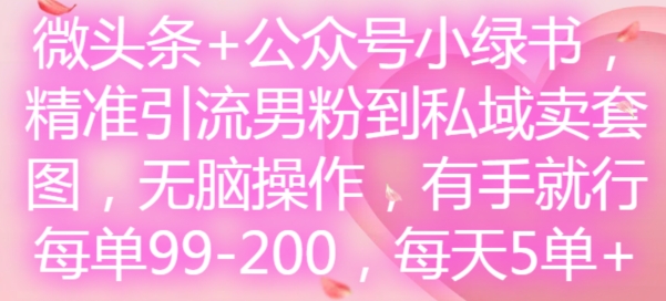 微头条+公众号小绿书,精准引流男粉到私域卖套图,无脑操作,有手就行,每单99-200,每天5单-知乎者也
