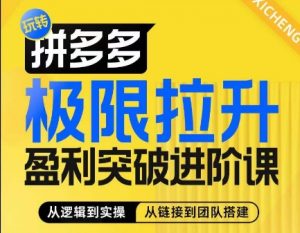 拼多多极限拉升盈利突破进阶课,从算法到玩法,从玩法到团队搭建,体系化系统性帮助商家实现利润提升-知乎者也