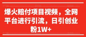 爆火赔付项目视频,全网平台进行引流,日引创业粉1W+【揭秘】-知乎者也