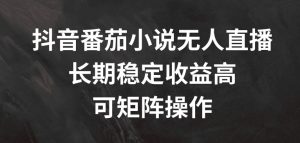 抖音番茄小说无人直播,长期稳定收益高,可矩阵操作【揭秘】-知乎者也