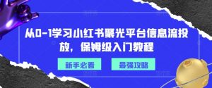 从0-1学习小红书聚光平台信息流投放,保姆级入门教程-知乎者也