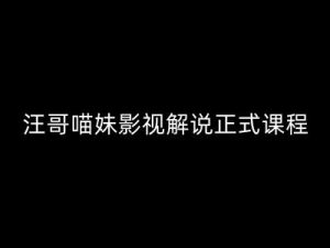 汪哥影视解说正式课程：剪映/PR教学/视解说剪辑5大黄金法则/全流程剪辑7把利器等等-知乎者也