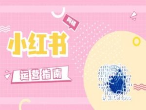 小红书运营指南，没有套路，全是经验-知乎者也