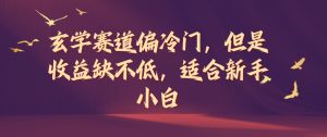 玄学赛道偏冷门，但是收益缺不低，适合新手小白【揭秘】-知乎者也