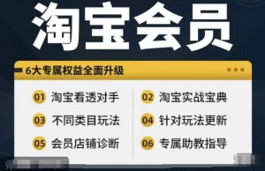淘宝会员【淘宝所有课程,全面分析对手】,初级到高手全系实战宝典-知乎者也