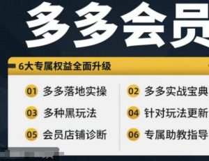 拼多多会员,拼多多实战宝典+实战落地实操,从新手到高阶内容全面覆盖-知乎者也