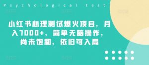 小红书心理测试爆火项目,月入7000+,简单无脑操作,尚未饱和,依旧可入局-知乎者也