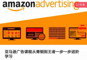 亚马逊广告课程,从青铜到王者一步一步进阶学习-知乎者也