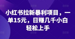 小红书拉新暴利项目,一单15元,日赚几千小白轻松上手【揭秘】-知乎者也