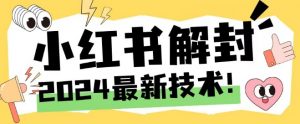 2024最新小红书账号封禁解封方法，无限释放手机号【揭秘】-知乎者也