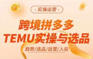 跨境拼多多TEMU实操与选品,多多temu跨境选品运营实操-知乎者也