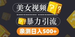 搬运tk美女视频全网分发,日引s粉300+,轻松变现,不限流量不封号【揭秘】-知乎者也