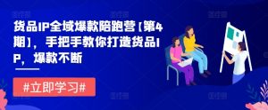 货品IP全域爆款陪跑营【第4期】,手把手教你打造货品IP,爆款不断-知乎者也