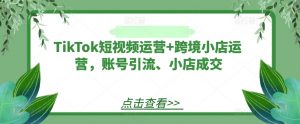 TikTok短视频运营+跨境小店运营,账号引流、小店成交-知乎者也