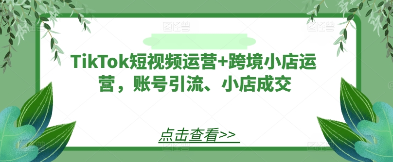 TikTok短视频运营+跨境小店运营,账号引流、小店成交-知乎者也