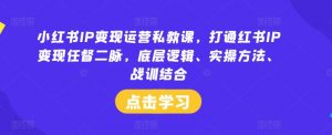 小红书IP变现运营私教课,打通红书IP变现任督二脉,底层逻辑、实操方法、战训结合-知乎者也