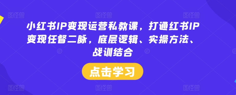 小红书IP变现运营私教课,打通红书IP变现任督二脉,底层逻辑、实操方法、战训结合-知乎者也