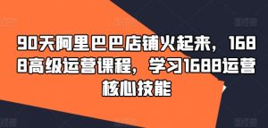 90天阿里巴巴店铺火起来,1688高级运营课程,学习1688运营核心技能-知乎者也