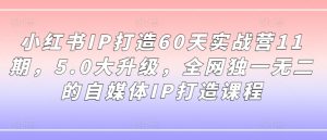小红书IP打造60天实战营11期,5.0大升级,全网独一无二的自媒体IP打造课程-知乎者也