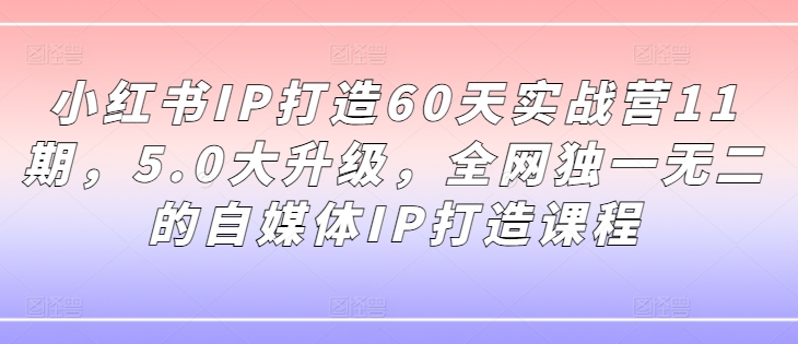 小红书IP打造60天实战营11期,5.0大升级,全网独一无二的自媒体IP打造课程-知乎者也