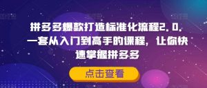 拼多多爆款打造标准化流程2.0,一套从入门到高手的课程,让你快速掌握拼多多-知乎者也
