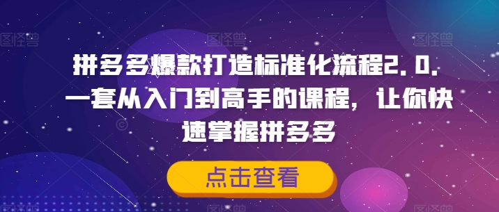 拼多多爆款打造标准化流程2.0,一套从入门到高手的课程,让你快速掌握拼多多-知乎者也