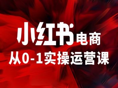 小红书电商从0-1实操运营课,让你从小白到精英-知乎者也