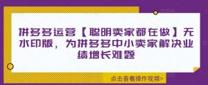 拼多多运营【聪明卖家都在做】无水印版,为拼多多中小卖家解决业绩增长难题-知乎者也