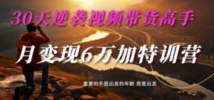 30天逆袭视频带货高手,单月变现6万加特训营-麦子甜-知乎者也
