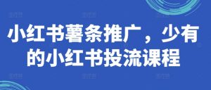小红书薯条推广，少有的小红书投流课程-知乎者也