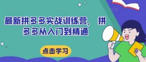 最新拼多多实战训练营, 拼多多从入门到精通-知乎者也