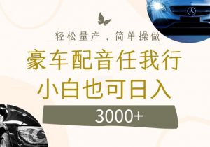 不为人知的暴力小项目,豪车配音,日入几张【揭秘】-知乎者也
