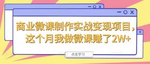 商业微课制作实战变现项目,这个月我做微课赚了2W+-知乎者也