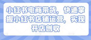 小红书电商带货,快速掌握小红书店铺运营,实现开店创收-知乎者也