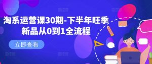 淘系运营课30期-下半年旺季新品从0到1全流程-知乎者也