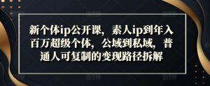 新个体ip公开课,素人ip到年入百万超级个体,公域到私域,普通人可复制的变现路径拆解-知乎者也