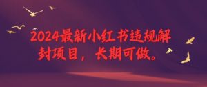 2024最新小红书违规解封项目，长期可做，一个可以做到退休的项目【揭秘】-知乎者也
