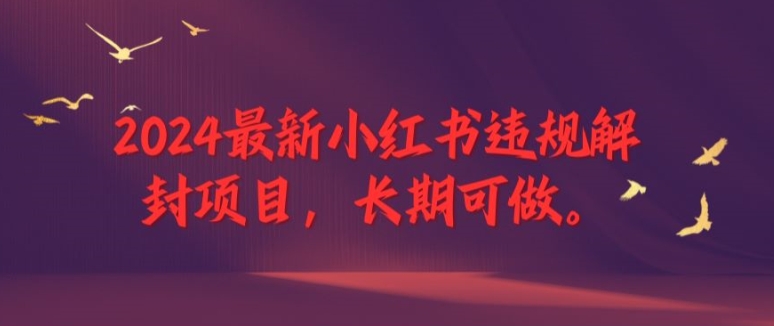 2024最新小红书违规解封项目,长期可做,一个可以做到退休的项目【揭秘】-知乎者也