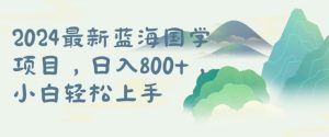 国学项目,长期蓝海可矩阵,从0-1的过程【揭秘】-知乎者也