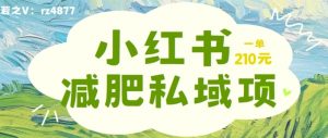 小红书减肥粉,私域变现项目,一单就达210元,小白也能轻松上手【揭秘】-知乎者也