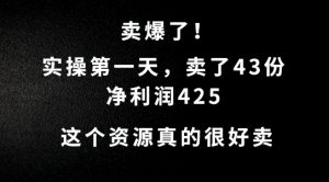 这个资源，需求很大，实操第一天卖了43份，净利润425【揭秘】-知乎者也
