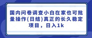 国内问卷调查小白在家也可批量操作(日结)真正的长久稳定项目，日入1k【揭秘】-知乎者也
